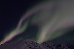 XLyngen
