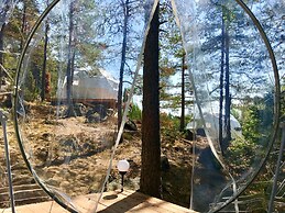 FinnDome- Glamping
