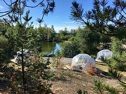 FinnDome- Glamping