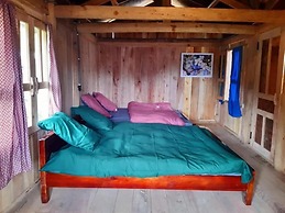 Homie Homestay - Hostel