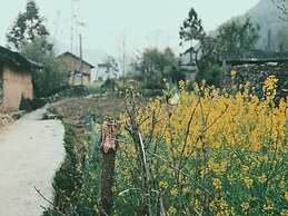 Homie Homestay - Hostel