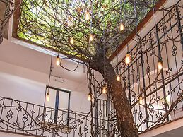 Agrado Guest House
