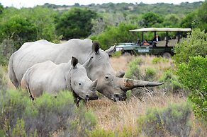 Shamwari Bayethe