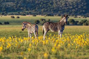 Shamwari Bayethe