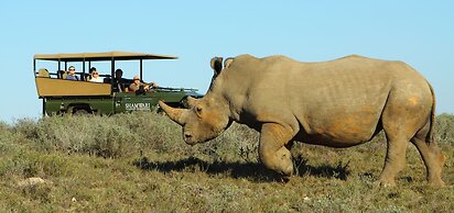 Shamwari Bayethe