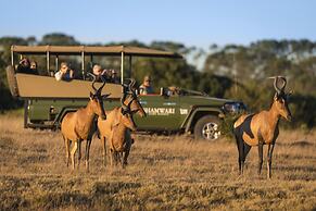 Shamwari Bayethe