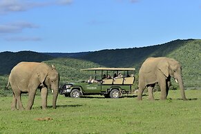 Shamwari Bayethe