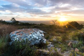 Shamwari Bayethe