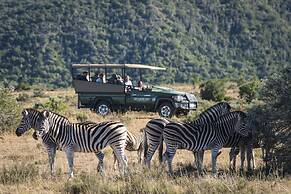 Shamwari Bayethe