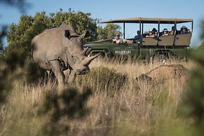 Shamwari Bayethe