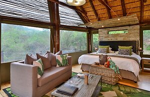 Shamwari Bayethe