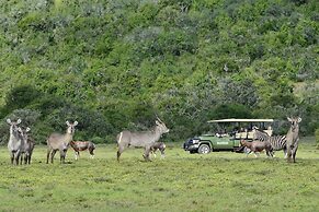 Shamwari Riverdene