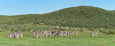Shamwari Riverdene
