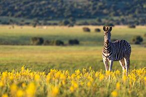 Shamwari Riverdene