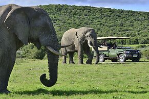 Shamwari Riverdene