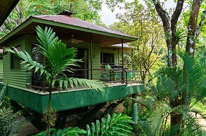 Arbol Verde Villas