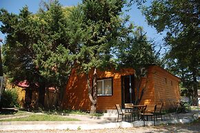 Peak Season Hotel
