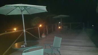 My Amazon Lodge