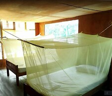 My Amazon Lodge