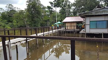 My Amazon Lodge