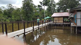 My Amazon Lodge