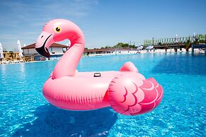 Flamingo resort
