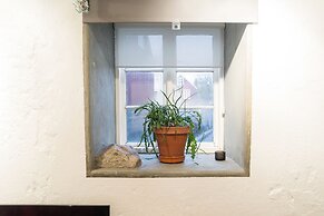 Reykjavik Treasure