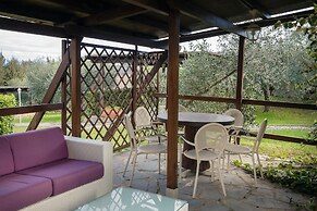 Tenuta Decimo
