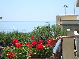 B&B Nereidi