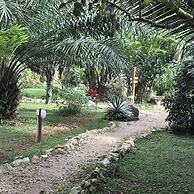 Sattva Land