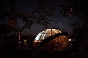 Les Nuits Insolites de Madine