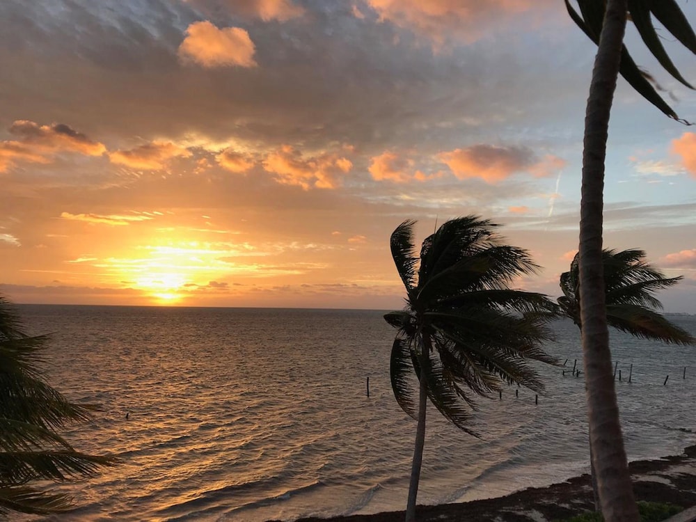 Flamingo Beach Plus
