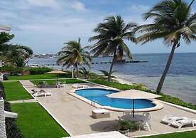 Flamingo Beach Plus