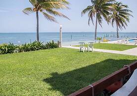 Flamingo Beach Plus