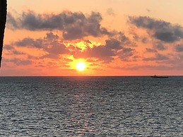 Flamingo Beach Plus