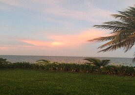 Flamingo Beach Plus
