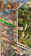 Hotel Jaiba Mahahual