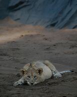 Rhino Sands Safari Camp