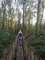 B&B De Stuifduinen