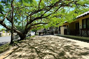 St Lucia Palms