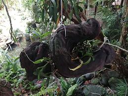 Gio Lao Eco Lodge - Hostel
