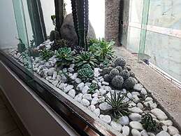 Hotel Boutique Acocalli