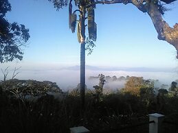 Forestdale Coorg