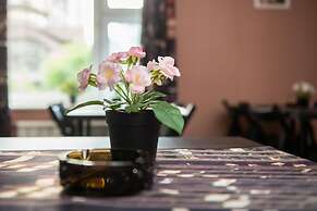 Hostel Green City