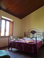 La Cicala