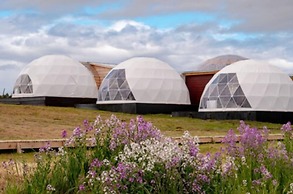 Garden Domes