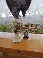 Garden Domes