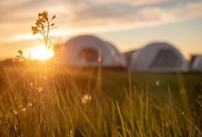 Garden Domes