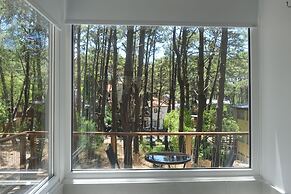 Terral Suites