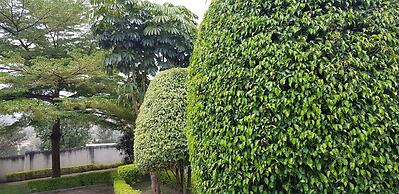 Tinho Guest House